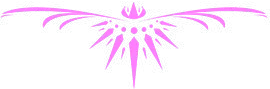 DIVIDER-1-1-PINK.png