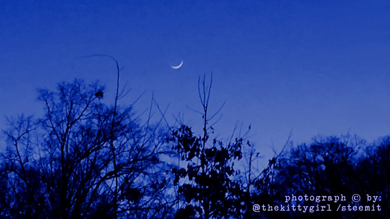 Crescent.jpg