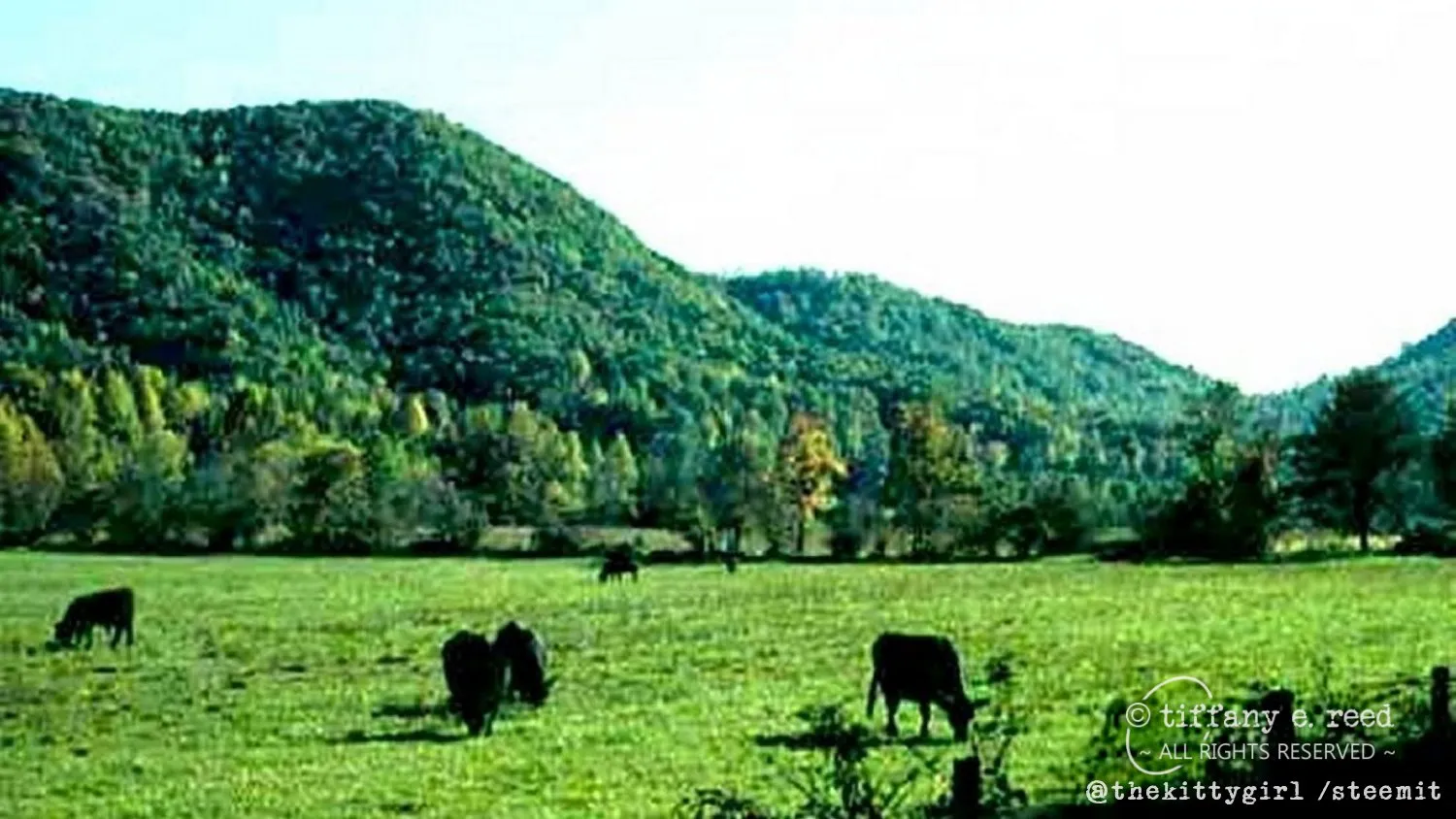 EastatoeValley.jpg