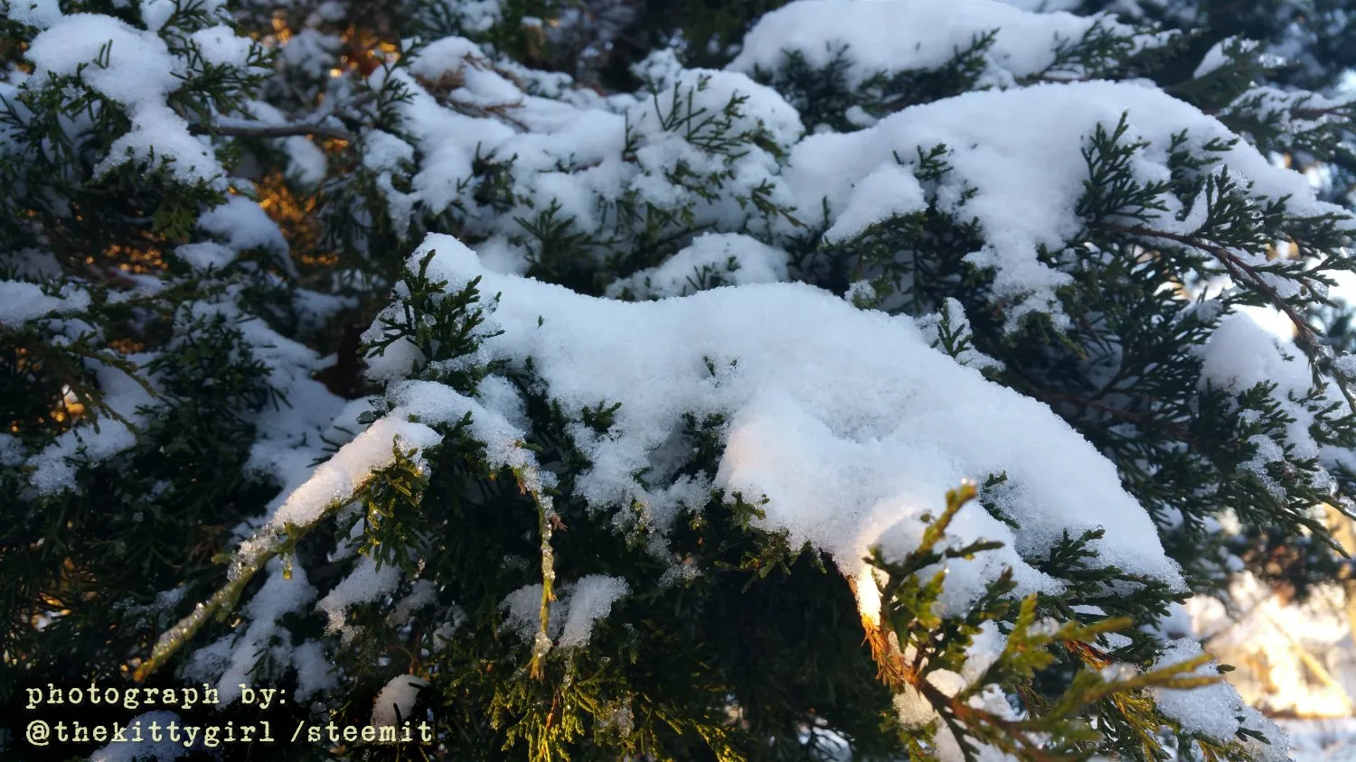 Snow-2.jpg