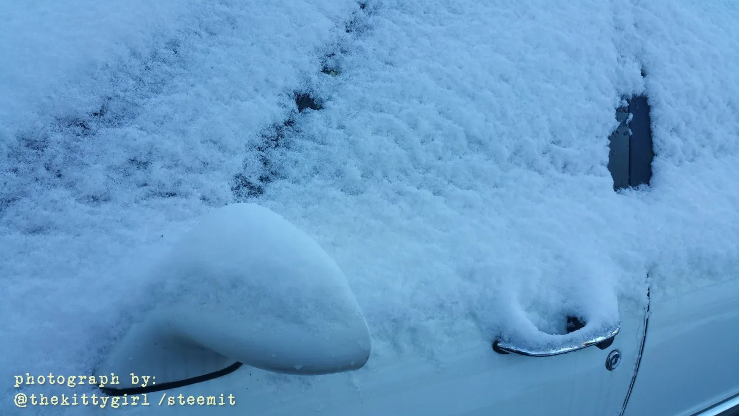 Snow-4.jpg