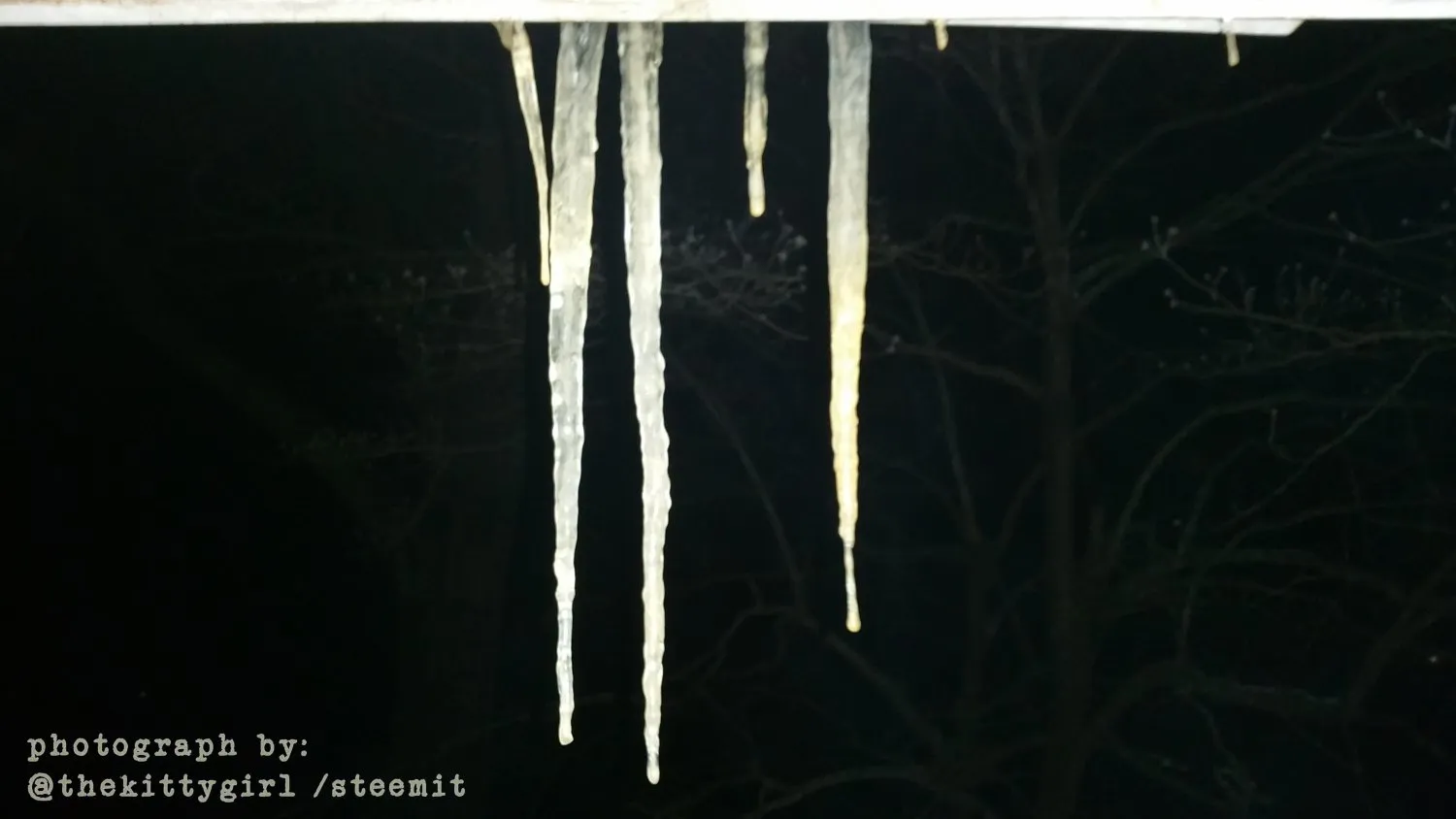 Snow-5.jpg
