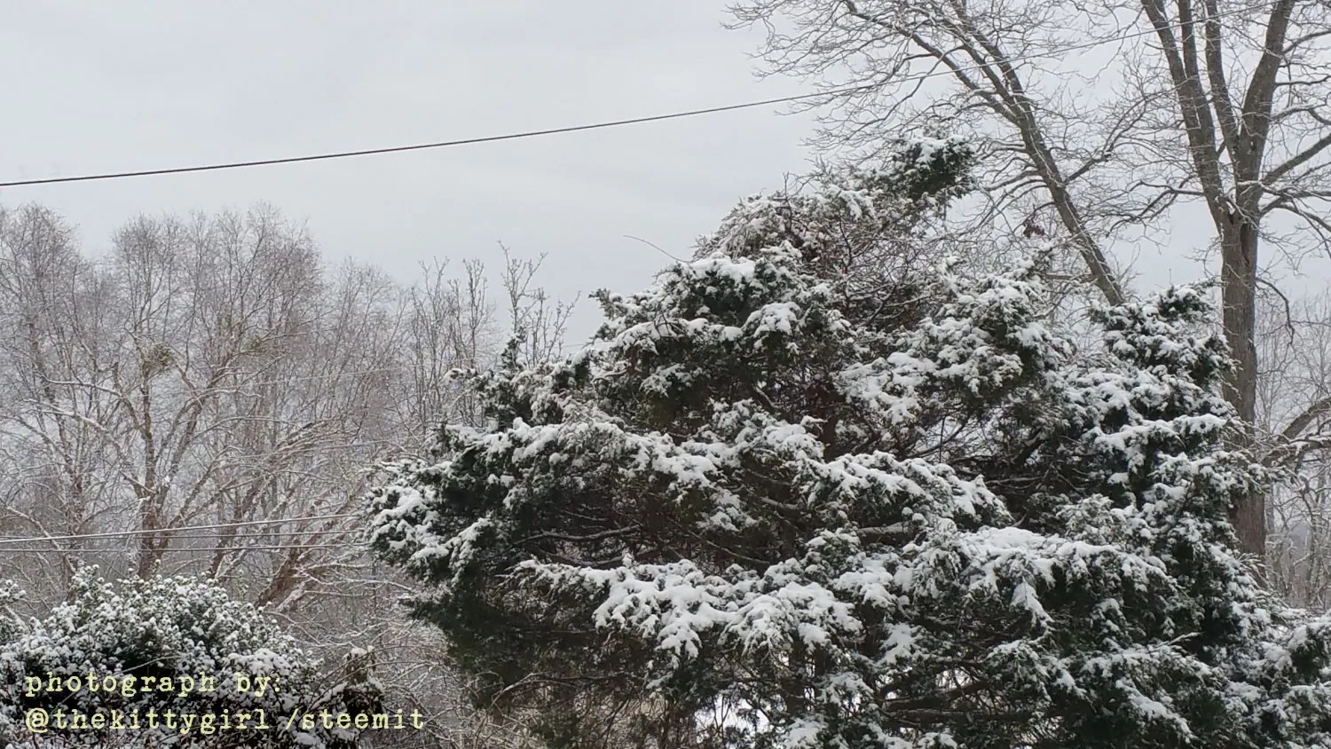 Snow-1.jpg