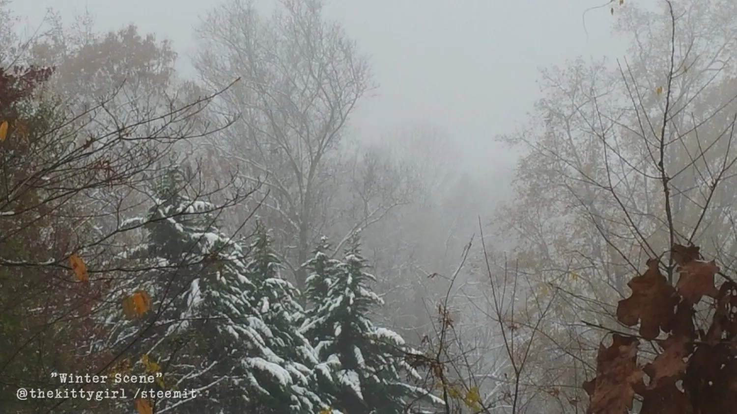 WinterScene.jpg