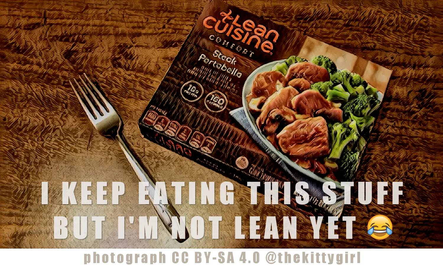 LeanCuisine3.png