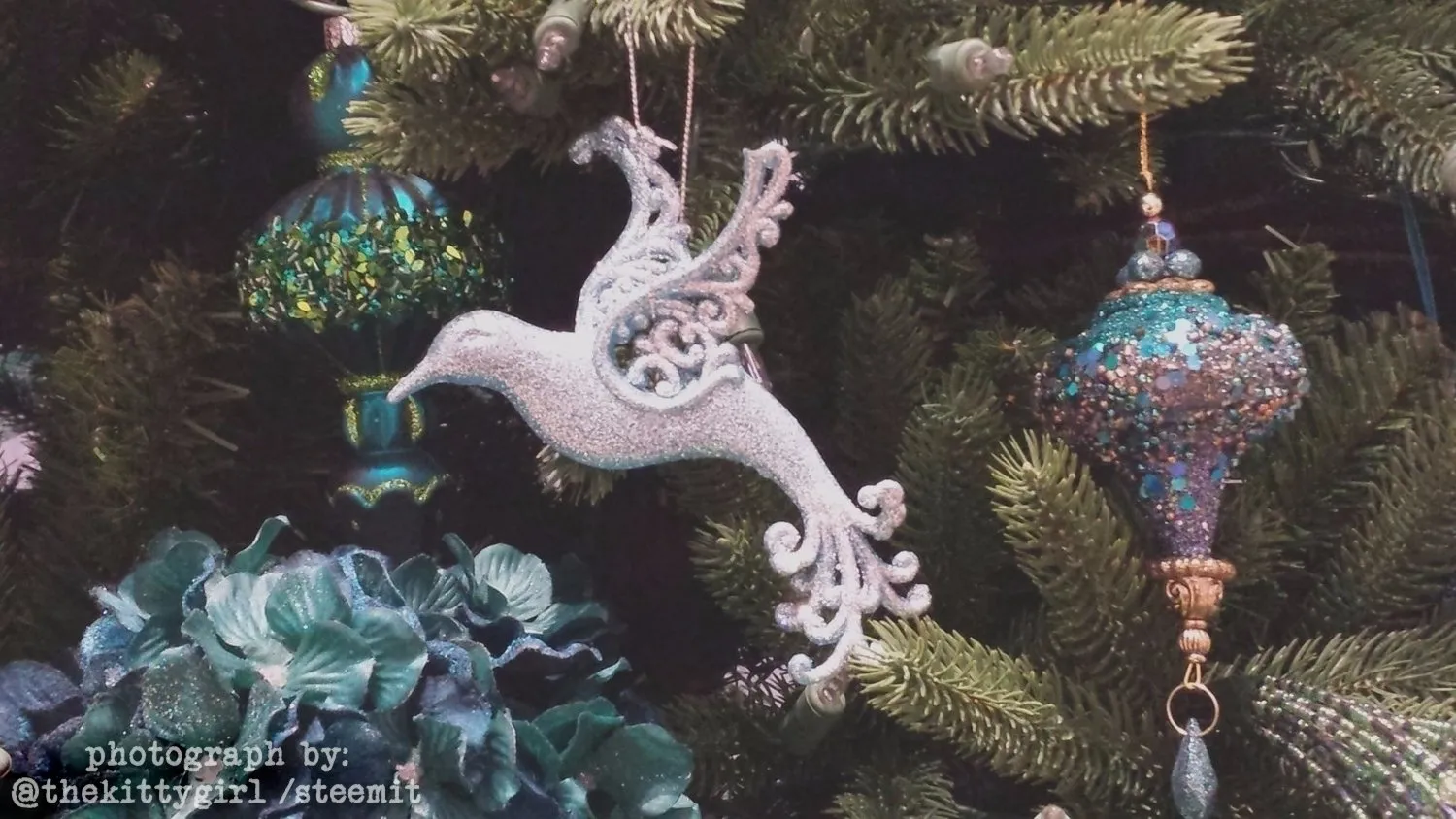 Wintermas-028.jpg