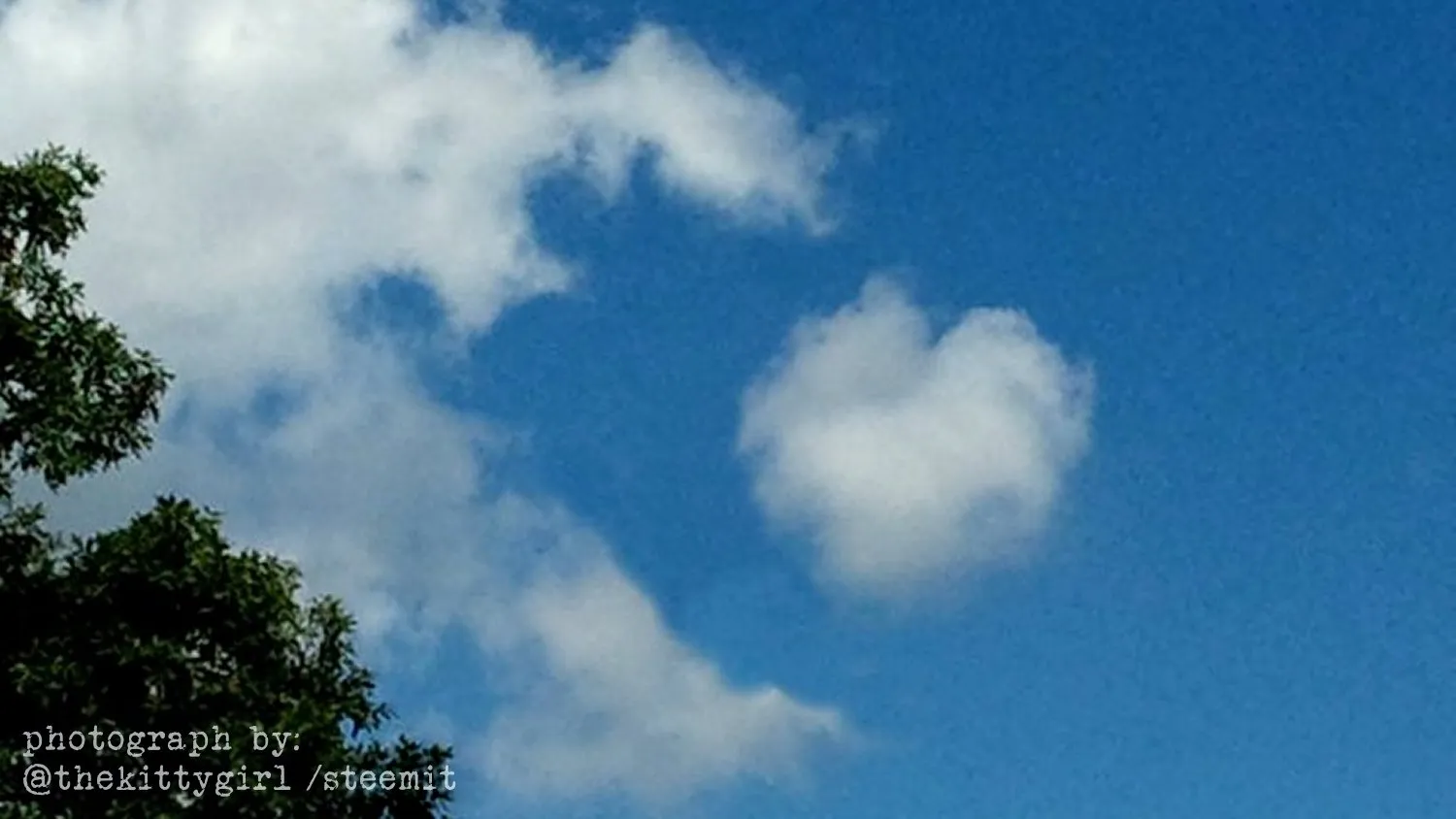 Heart--10.jpg
