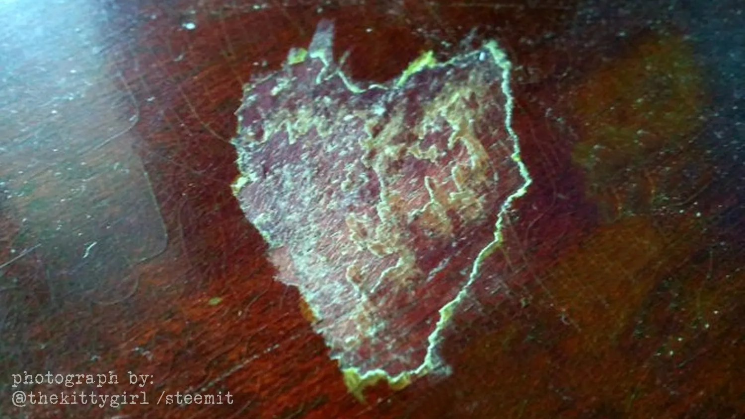 Heart--08.jpg