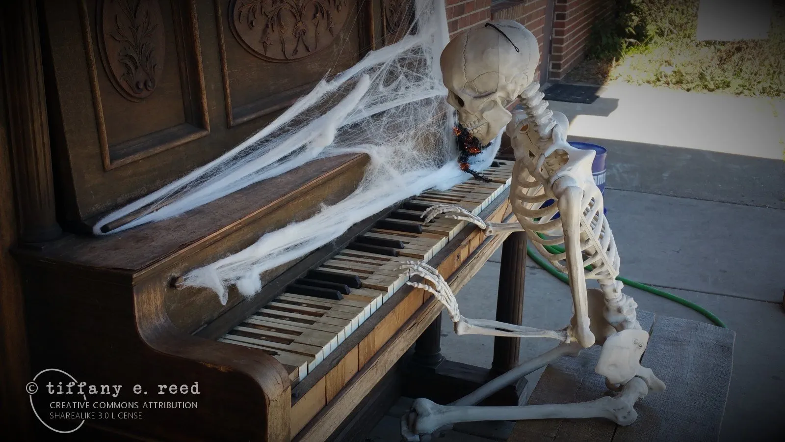 Spooky.jpg