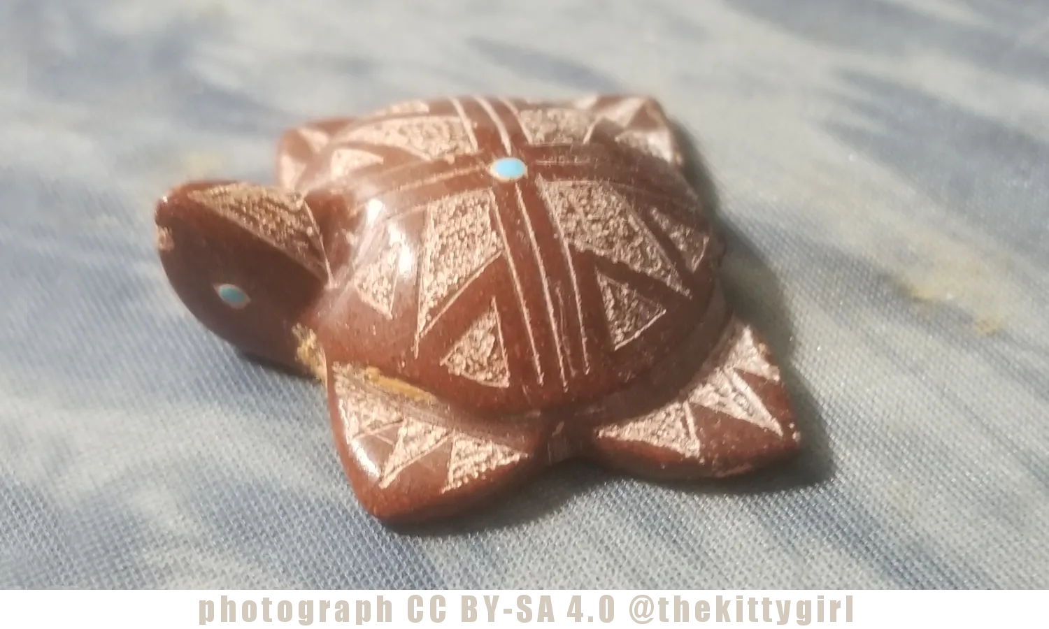 CatliniteTurtle-1.png