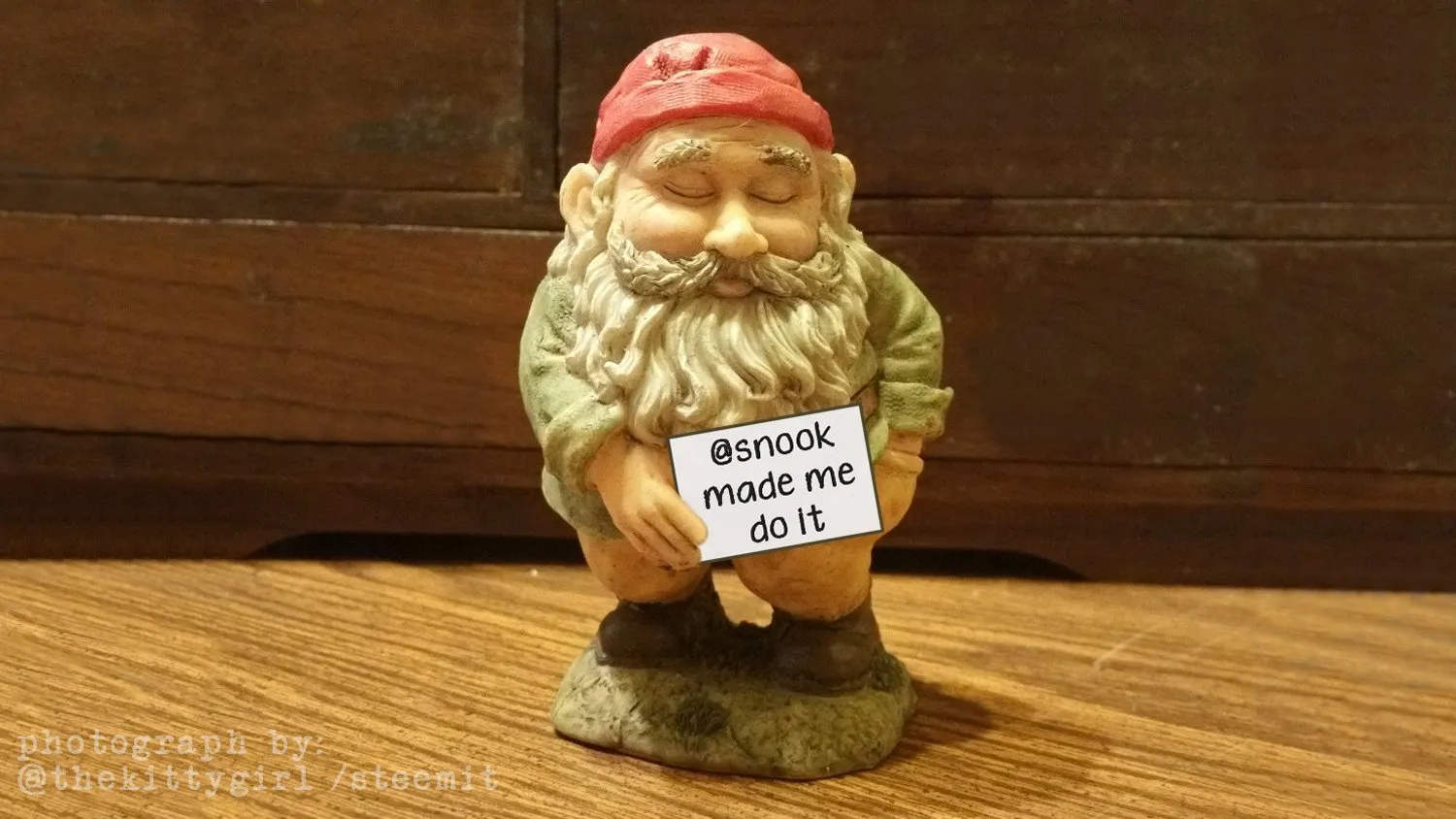 SnookMadeMeDoIt.jpg