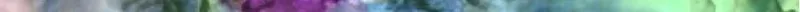 FloralLine--2.jpg