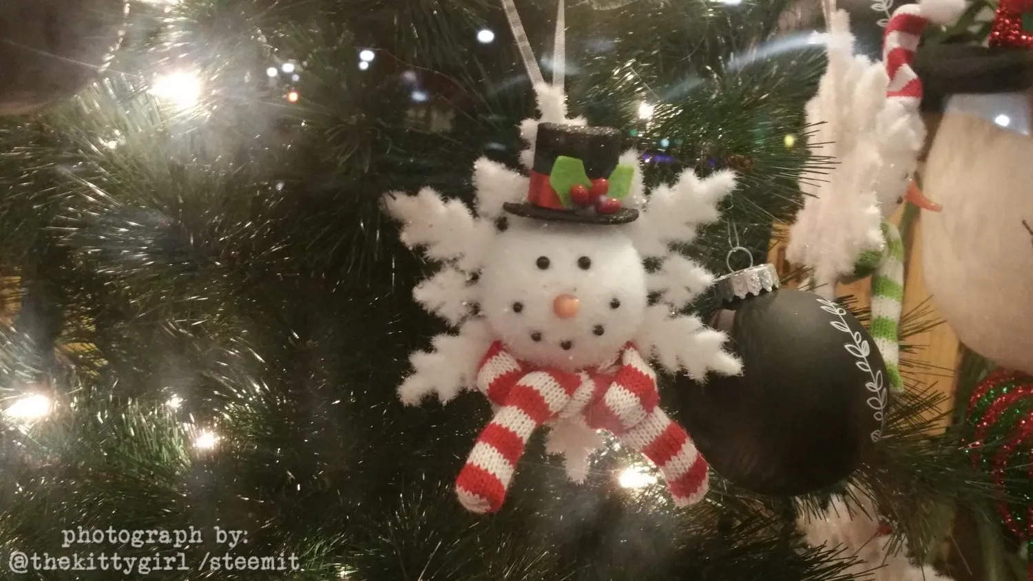Wintermas-046.jpg
