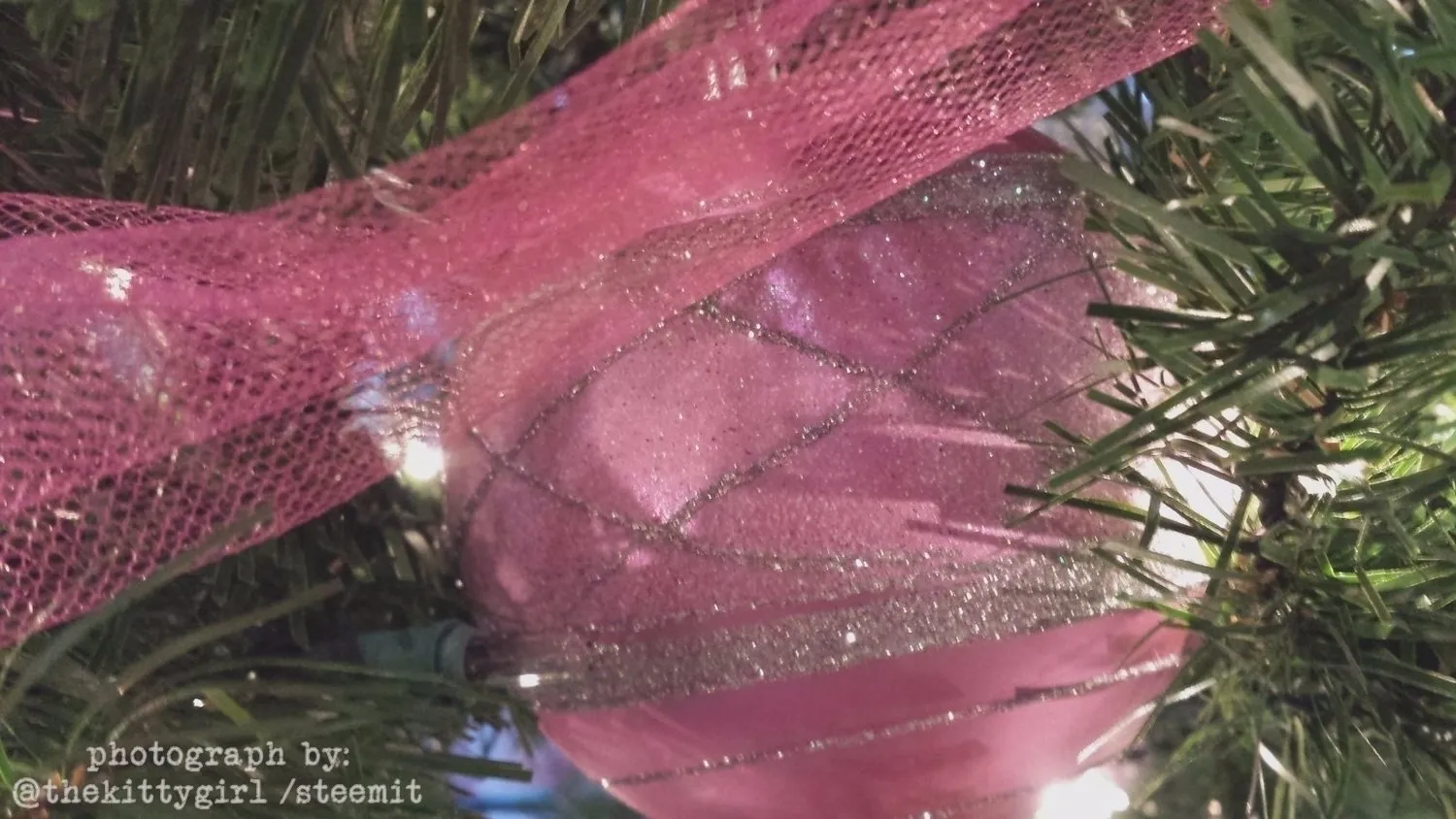 Wintermas-017.jpg
